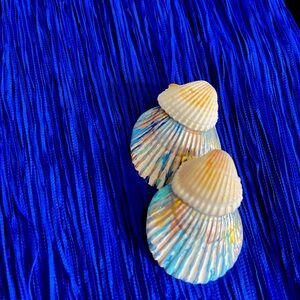 Mermaid Colored seashell earrings